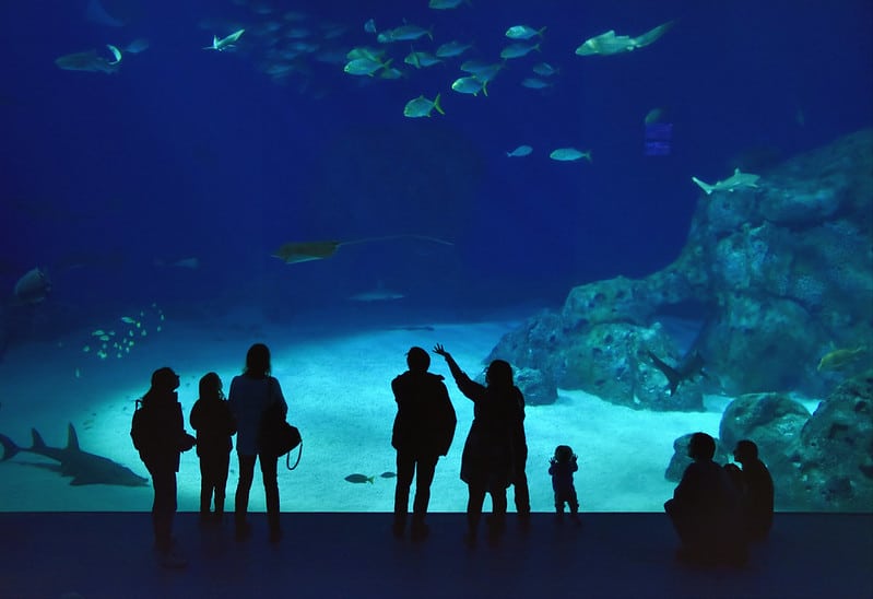 A photo of inside the Blue Planet | The Best 7 Family Attractions in Copenhagen | Amitylux Tours | Scandinavian Guided Tours | VIP & Luxury Experiences in the Nordics