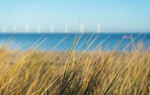A photo of the Amager Beach Park during daytime | Most Beautiful Beaches Across Copenhagen | Amitylux Tours | Guided Tours | VIP & Luxury Experiences