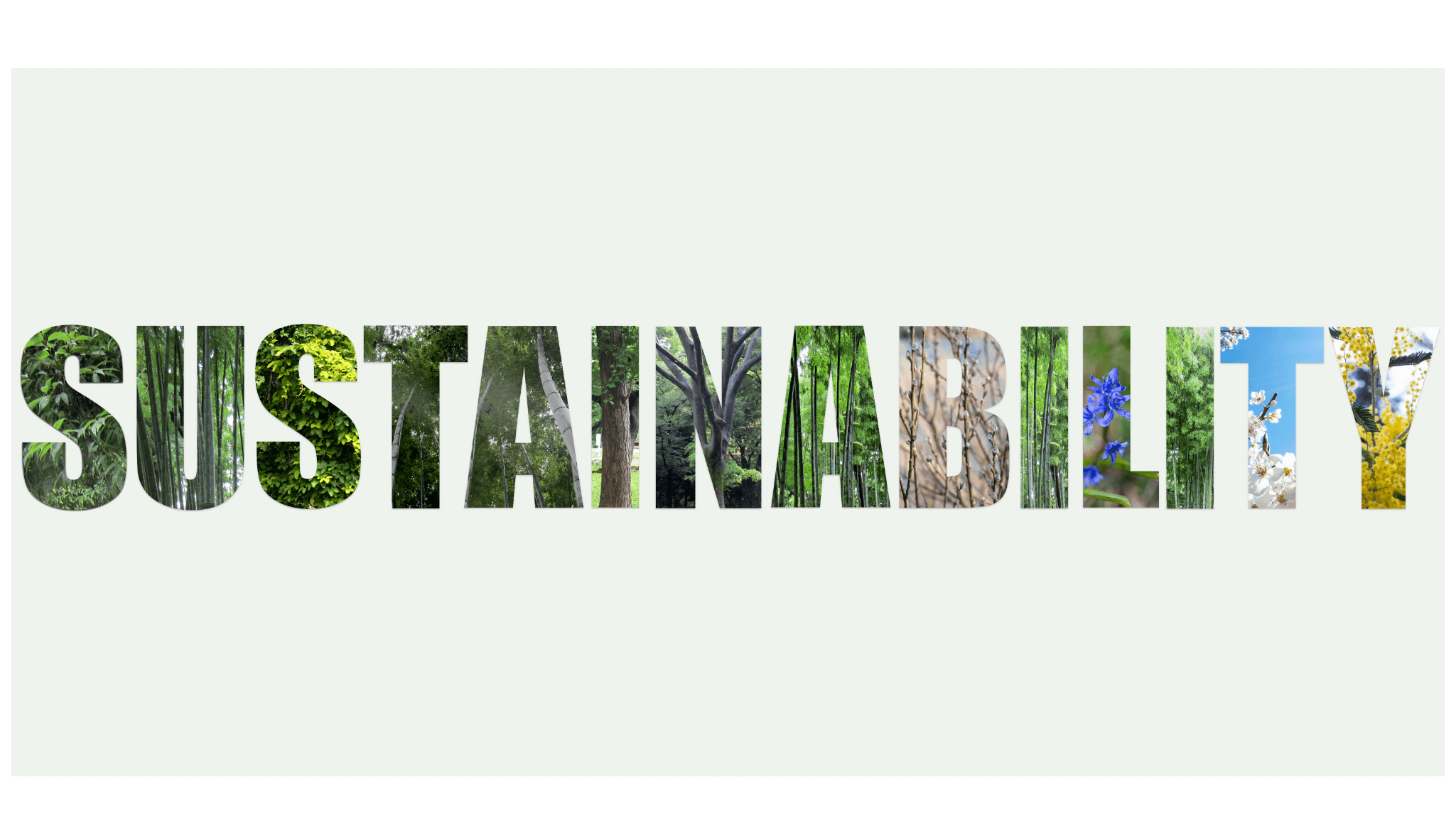 A photo of light green background showing the word Sustainability in all capitals | Scandinavian Fashion: The Amazing And Unique Style | Amitylux Tours | Scandinavian Guided Tours | VIP & Luxury Experiences in the Nordics