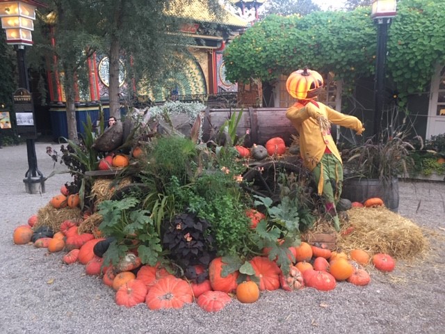 A photo of decorated pumpkins for Halloween | Tivoli Gardens in Copenhagen: Feel The Magic All Year Round | Amitylux Tours | Scandinavian Guided Tours | VIP & Luxury Experiences in the Nordics