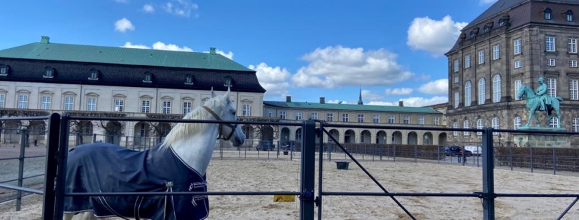The Danish Royal Stables | News & Trip Ideas | Amitylux Tours Blog