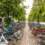 A photo of bikes parked in an open space in Copenhagen, Denmark | 10 Interesting Facts | Biking in Denmark Is a Way of Life | Amitylux Tours | Guided City Tours | VIP & Luxury Experiences