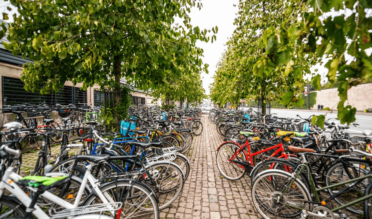 Daytime in Copenhagen at a parking for bikes | Amitylux Tours | Scandinavian Guided Tours | VIP & Luxury Experiences in the Nordics