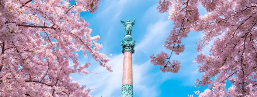 Langelinie Park | Cherry Blossoms In Copenhagen