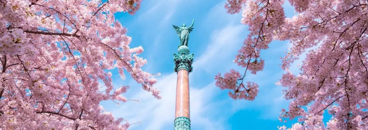 Langelinie Park | Cherry Blossoms In Copenhagen