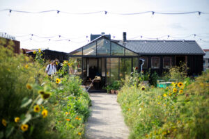 Ostergro green rooftops in Copenhagen