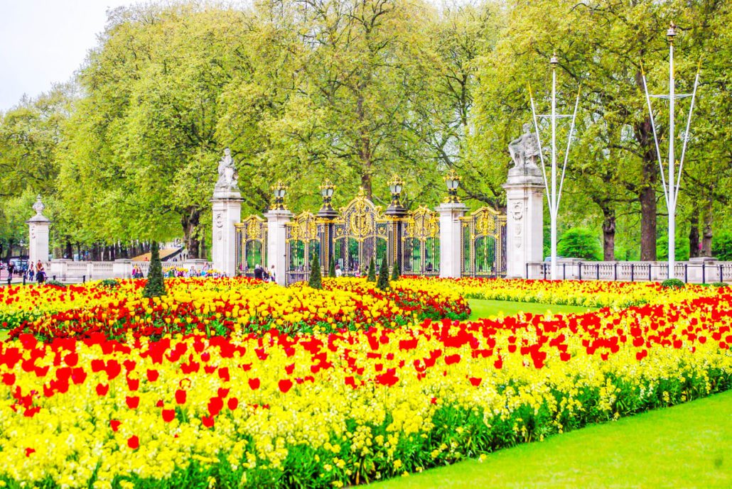 The best gardens t visit in London: Buckingham Palace gardens. The palace gardens and the embelematics gate with the Royal crest