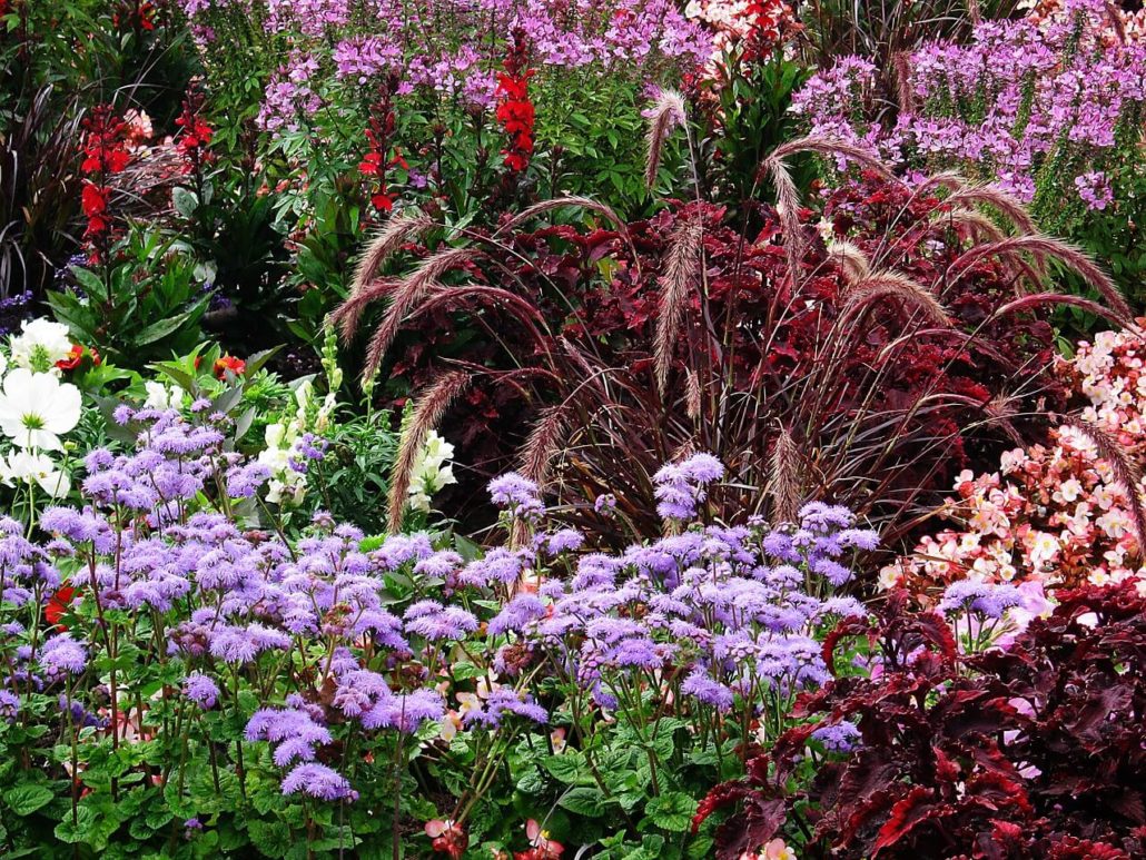 The best gardens to visit in London: The Chelsea Flower Show. Flower exhibition in London.