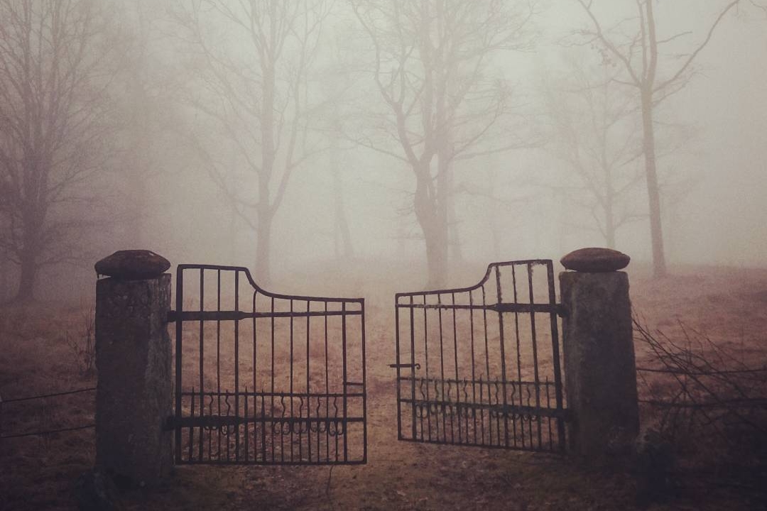 Haunted Houses in Stockholm: Kolerakyrkogården, The Cholera Cemetery