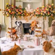 Tea in London. The best sports for tea in London in the summertime. Photo shared by Brown's Hotel on May 18, 2024. An image of dogs having tea around a set table at the Brown's Hotel in London.