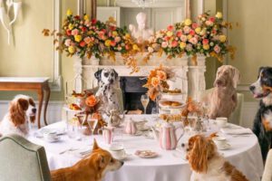 Tea in London. The best sports for tea in London in the summertime. Photo shared by Brown's Hotel on May 18, 2024. An image of dogs having tea around a set table at the Brown's Hotel in London.