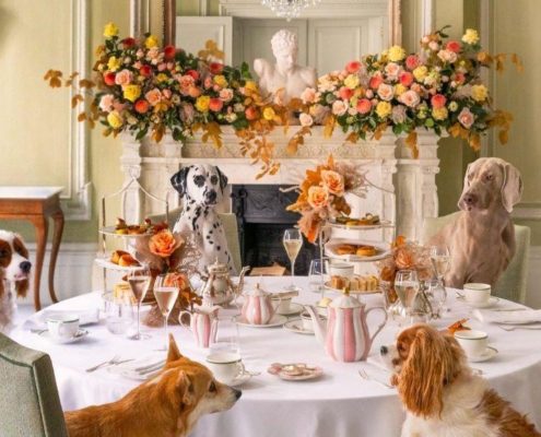 Tea in London. The best sports for tea in London in the summertime. Photo shared by Brown's Hotel on May 18, 2024. An image of dogs having tea around a set table at the Brown's Hotel in London.