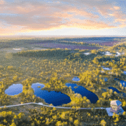 Estonian landscape of a bog park