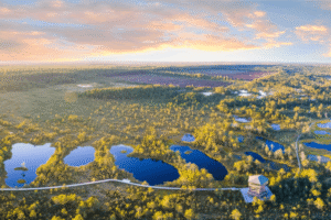 Estonian landscape of a bog park