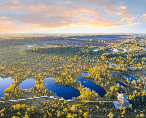 Estonian landscape of a bog park
