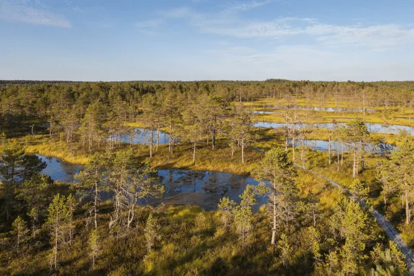landscape of Lahemaa national park