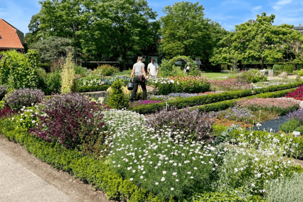 flowers in Landbohøjskolens Have