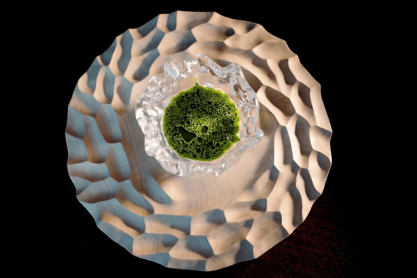 Maaemo restaurant's signature oyster menu