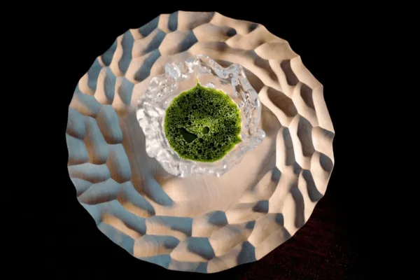 Maaemo restaurant's signature oyster menu