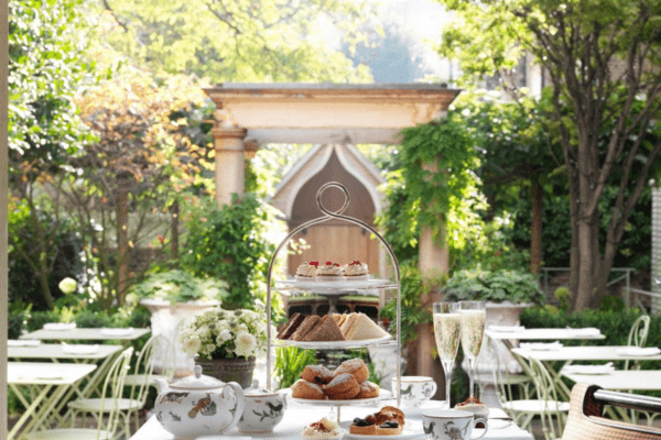 outdoor garden of Number Sixteen Hotel in London
