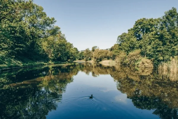 a lake in Østre Anlæg park