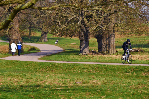 Richmond Park in London