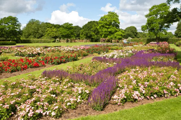colorful flower gardens in Valbyparken in Copenhagen