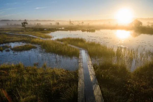 landscape of Soomaa national park in Estonia