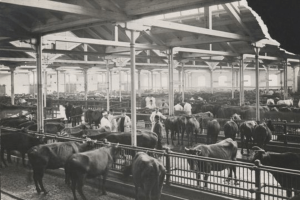 historical photograph of Øksnehallen