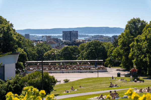 park with a hill and a view