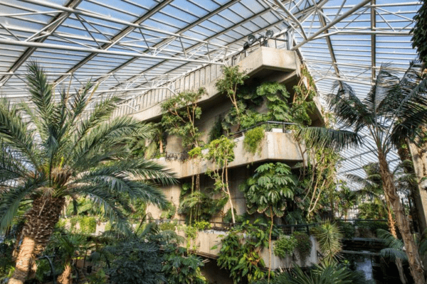 glass garden with palm trees in London