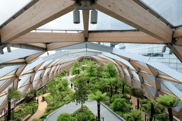 London's rooftop garden