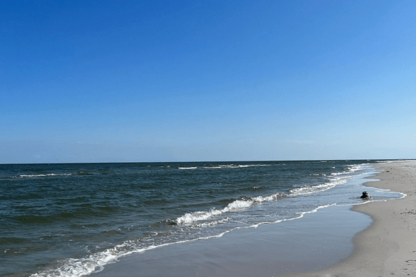 Dueodde Beach