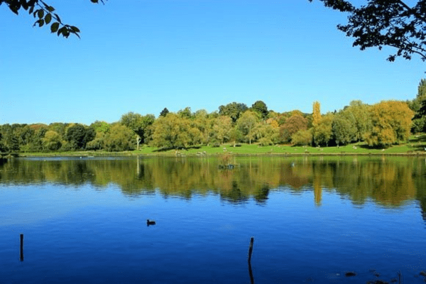 nature in Hampstead Heath