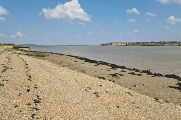 Joyce Green Beach
