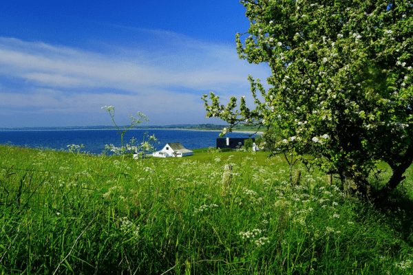 an ocean view from Mols Bjerge