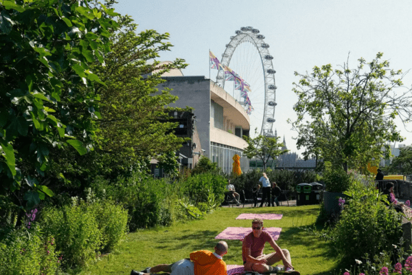 London Eye view from a rooftop garden