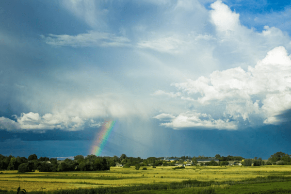 a rainbow with clouds over a field