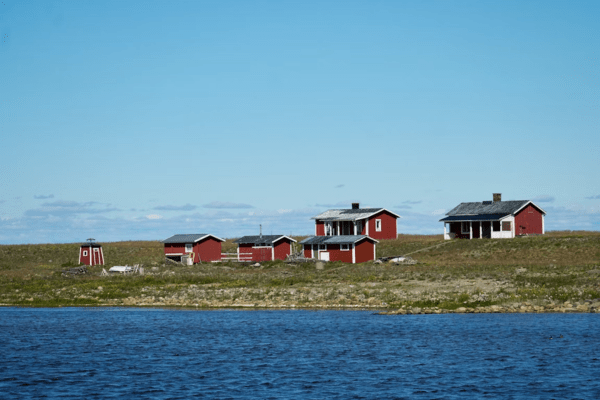 red summer houses by the sea