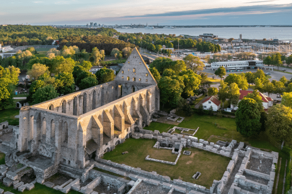 Bridgettine Convent Ruins from above