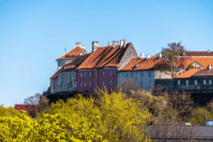 summer in Tallinn