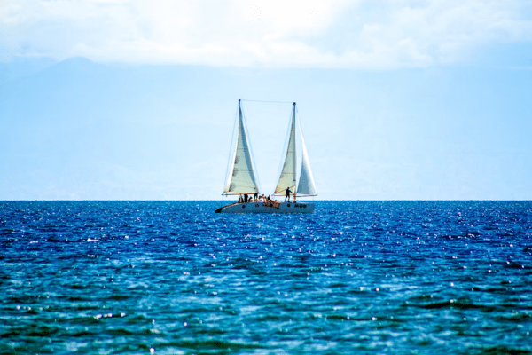 sailing boat in the ocean
