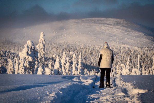 Pallas-Yllästunturi National Park