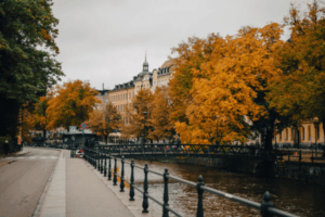 fall leaves in Sweden