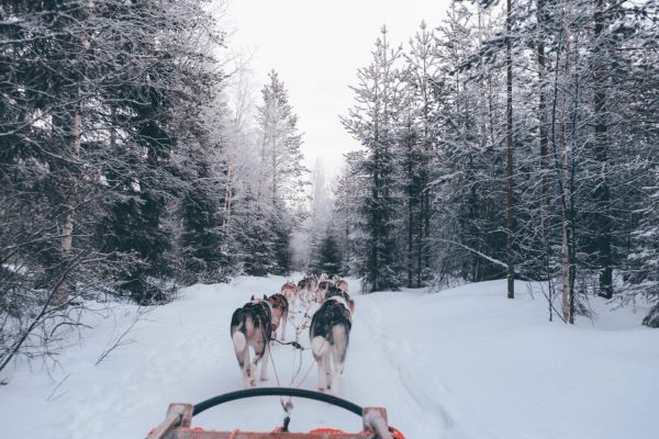 lapland activities