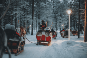 reindeer sleighs in Lapland