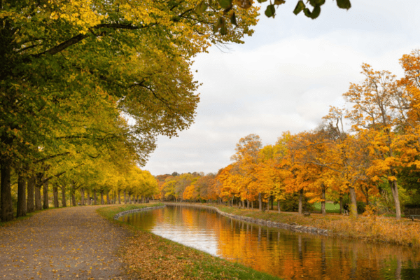 royal djurgården in autumn
