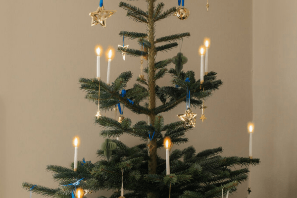 Christmas Tree in Denmark