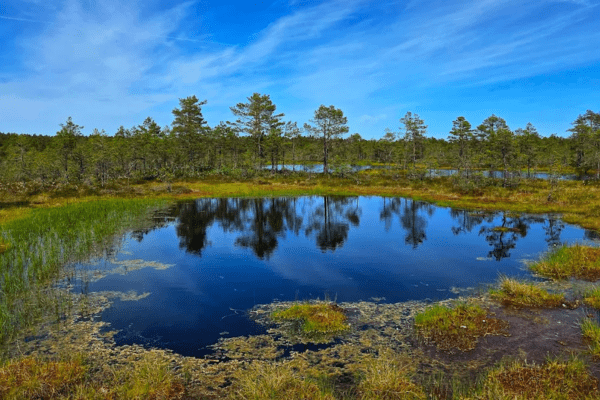 Lahemaa National Park
