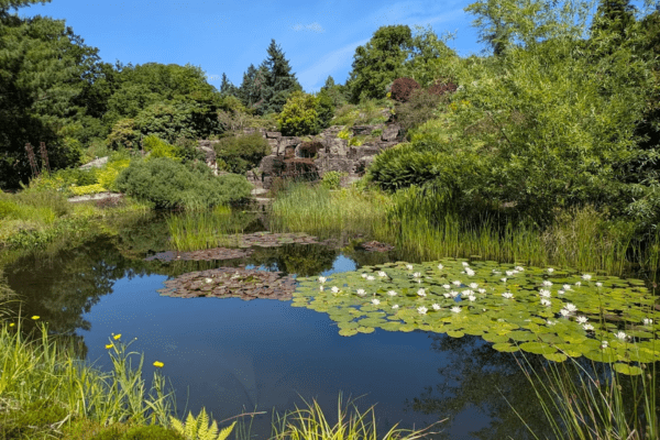 Oslo Botanical Garden
